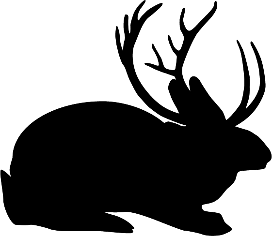 Logo da agencia de marketing e SEO Local The Jackaloop em São Carlos, SO